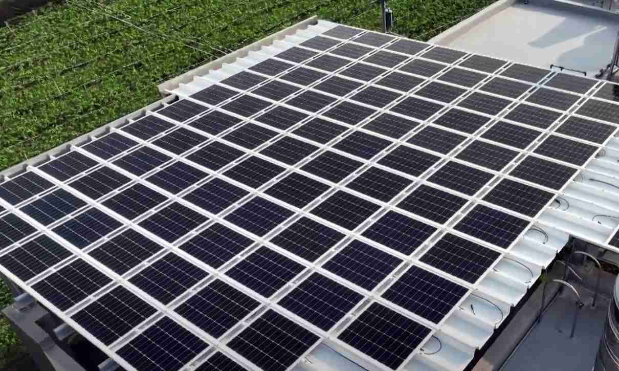 888.BY集团电子游戏SunSteel光电浪板升级双玻结构，，，，以提升机械负载强度及气候耐候度，，可广泛运用于多元场域